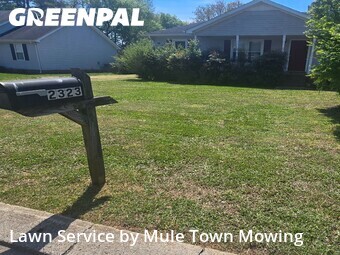 Grass Cut nearby Murfreesboro , TN, 