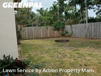 Lawn Cut nearby Surfside, FL, 