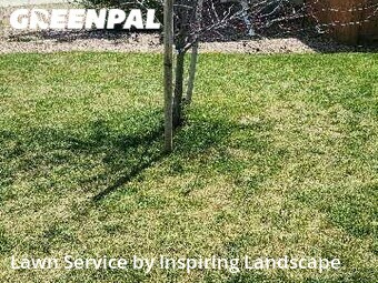 Lawn Care Service nearby Colorado Springs, CO, 