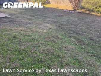 Lawn Carein The Colony,75056,Yard Mowing by Texas Lawnscapes, work completed in Jan , 2026