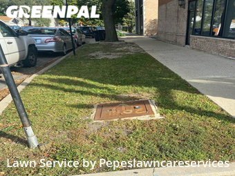 Lawn Care Service nearby Chicago, IL, 