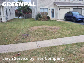 Yard Cutting nearby Romeoville, IL, 