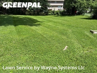 Grass Cut nearby Columbia, MO, 