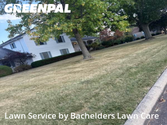Yard Work in Ashland, 44805, Yard Upkeep by Bachelders Lawn Care, work completed in Nov , 2025