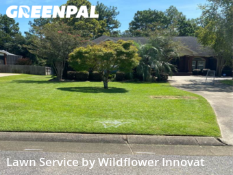 Lawn Cut nearby Pace, FL, 