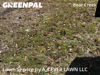 Lawn Mowing nearby New Port Richey, FL, 