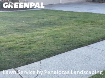 Lawn Mowing nearby Lawrenceville, GA, 