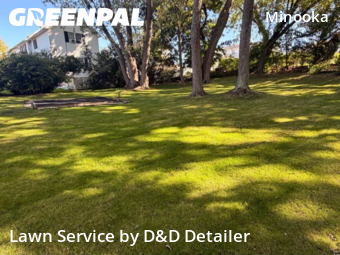 Landscaping Maintenance in Scranton, 18505, Yard Work by D&D Detailer , work completed in Nov , 2025