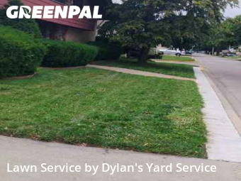 Grass Care in Melrose Park, 60160, Yard Work by Dylan's Yard Service , work completed in Nov , 2025