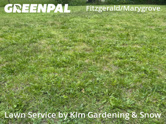 Lawn Care Service nearby Detroit, MI, 