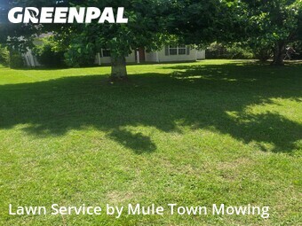 Lawn Mowing Servicein Murfreesboro,37128,Lawn Mowing by Mule Town Mowing , work completed in Jun , 2026