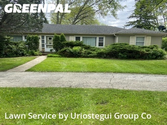 Grass Cut nearby Northbrook, IL, 