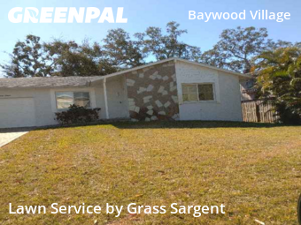 Lawn Mowingin Palm Harbor,34683,Lawn Cut by Grass Sargent, work completed in Feb , 2026