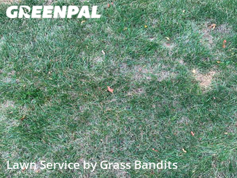 Yard Cutting nearby Billings, MT, 