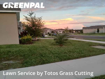 Lawn Mowing Servicein Ocoee,34761,Yard Cutting by Totos Grass Cutting, work completed in Nov , 2025