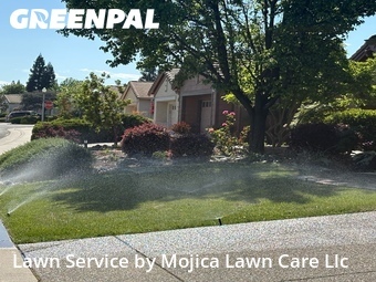 Work completed by professional-lawn-care-service-in-Lincoln-CA