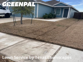 Landscaping Services In Mc Kinney,75071,Landscaping Cleanup by Texas Lawnscapes, work completed in Jan , 2026