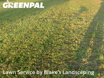 Lawn Mow nearby Panama City, FL, 