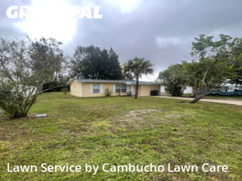 Lawn Maintenance nearby Venice, FL, 