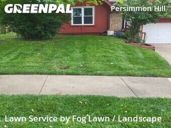 Lawn Cut nearby Olathe, KS, 