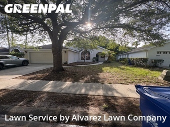 Grass Cutin Ocoee,34761,Grass Cutting by Alvarez Lawn Company, work completed in Jul , 2026
