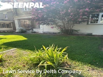 Yard Cutting nearby Bowling Green, KY, 