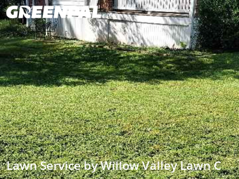 Grass Care in Roanoke, 24016, Yard Work by Willow Valley Lawn C, work completed in Dec , 2025