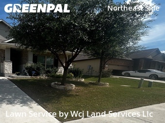 Lawn Cut nearby Schertz, TX, 