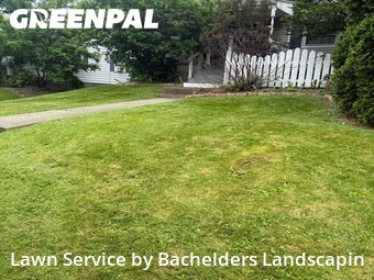 Yard Cutting nearby Mansfield, OH, 
