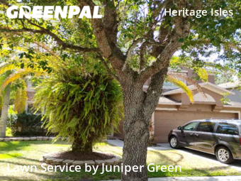 Lawn Maintenance nearby Tampa, FL, 