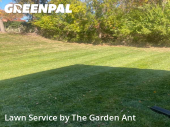Lawn Mowingin Chesterfield,63017,Lawn Cut by The Garden Ant , work completed in Feb , 2026