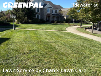 Grass Cutting nearby New Albany, OH, 