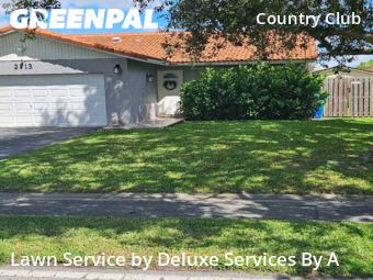 Lawn Management in Coral Springs, 33065, Yard Work by Deluxe Services By A, work completed in Nov , 2025