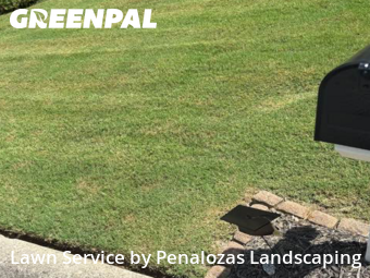 Lawn Mow nearby Suwanee, GA, 