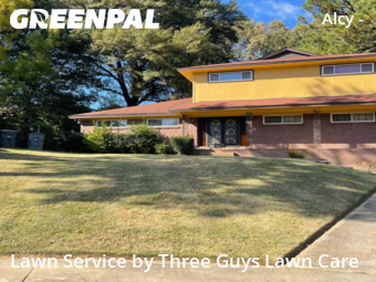 Weed Trimming in Memphis, 38114, Lawn Upkeep by Three Guys Lawn Care, work completed in Dec , 2025