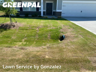 Lawn Cut nearby Four Oaks, NC, 
