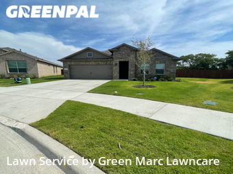 Lawn Cut nearby Fort Worth, TX, 
