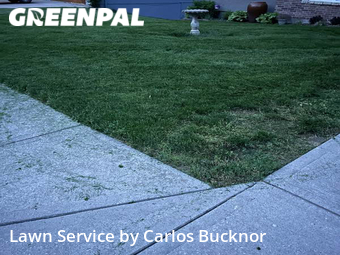 Grass Cutting nearby Lee's Summit, MO, 