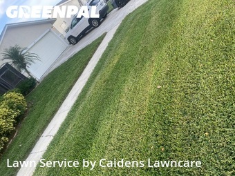 Grass Cutting nearby Royal Palm Beach, FL, 