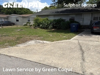 Lawn Cut nearby Tampa, FL, 
