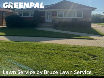 Yard Maintenance in Westchester, 60154, Lawn Management by Bruce Lawn Service, work completed in Nov , 2025