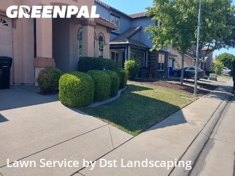 Work completed by grass-cutting-businesses-in-Elk Grove-CA