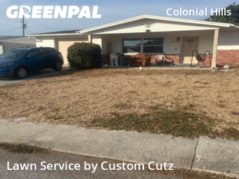 Yard Cutting nearby Port Richey, FL, 