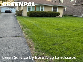 Lawn Care Servicein Elmhurst,60126,Yard Cutting by Bere Nice Landscape, work completed in Jun , 2026