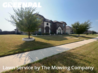 Yard Mowing in Forney, 75126, Mowing Services by The Mowing Company, work completed in Nov , 2025