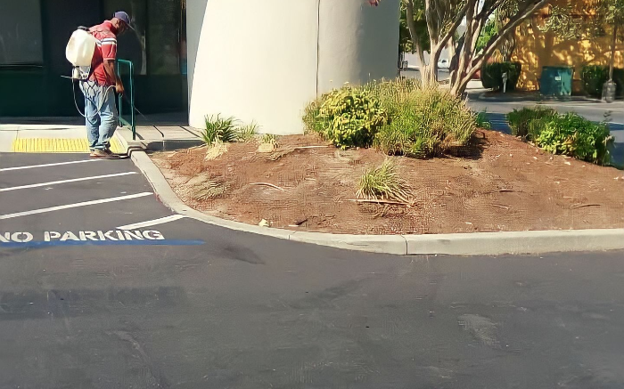 Work Image 4