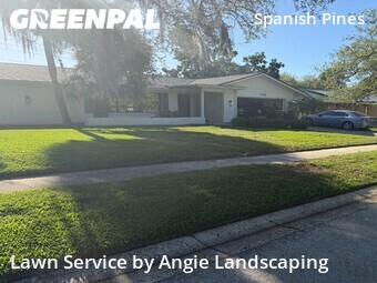 Lawn Servicein Dunedin,34698,Lawn Mow by Angie Landscaping , work completed in Jun , 2026