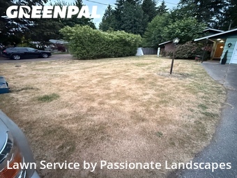 Lawn mowed in Lacey, 98503