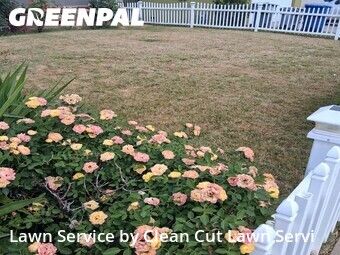 Lawn Cut nearby Fresno, CA, 