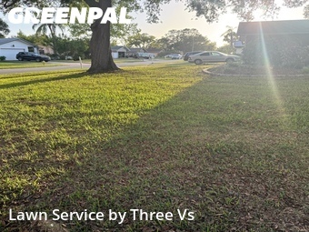 Lawn Service nearby Dunedin, FL, 